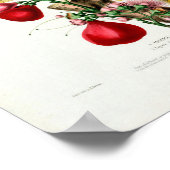 Le Eugenie  Fruit Botanical Flore d Ameriqu Poster (Hoek)