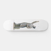 Le fameux skateboard Aviator (Horz)