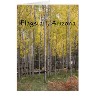 Le flagstaff jaune d'Aspen