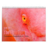 Le Flamant rose - calendrier 2018 (Protection)