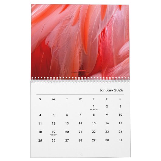 Le Flamant rose - calendrier 2018 (Jan 2026)
