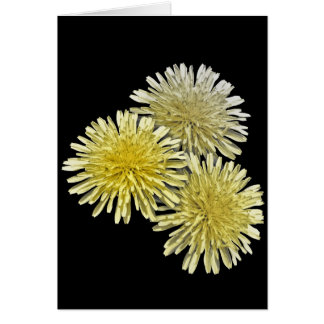 Le fléau du voisinage