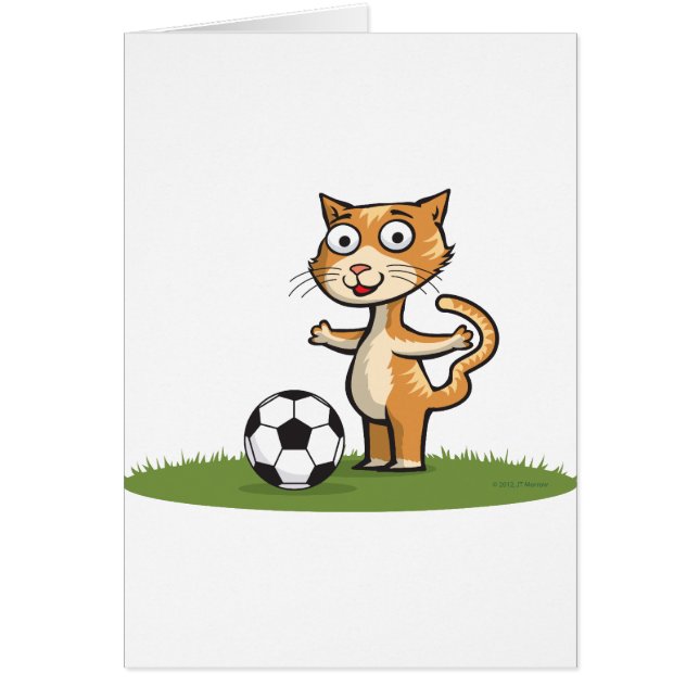 Le football de chat (Devant)