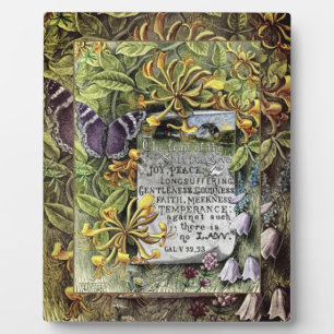 Le Fruit De La Plaque Spirit