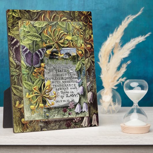 Le Fruit De La Plaque Spirit (Côté)