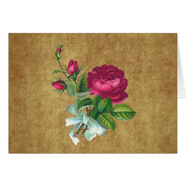 Le fuchsia vintage s'est levé (Devant horizontal)