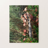 Le gabarit de Flamants roses a vu le puzzle (Vertical)