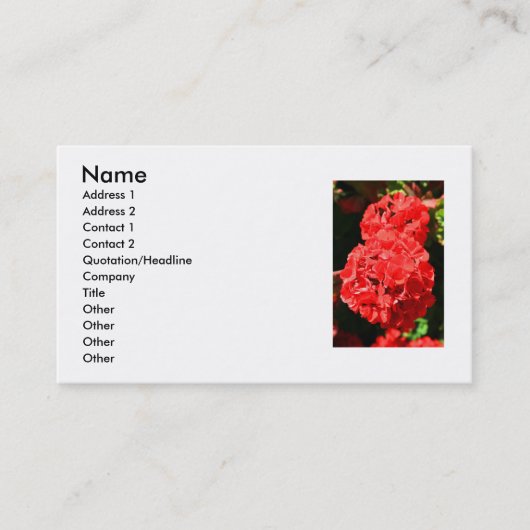 Le géranium rouge fleurit le carte de visite (Devant)