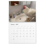 Le grand calendrier du Real Boo the Roo 2021 (Feb 2027)