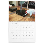 Le grand calendrier du Real Boo the Roo 2021 (Mar 2027)