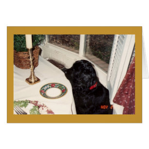 le grand poulet du morceau o