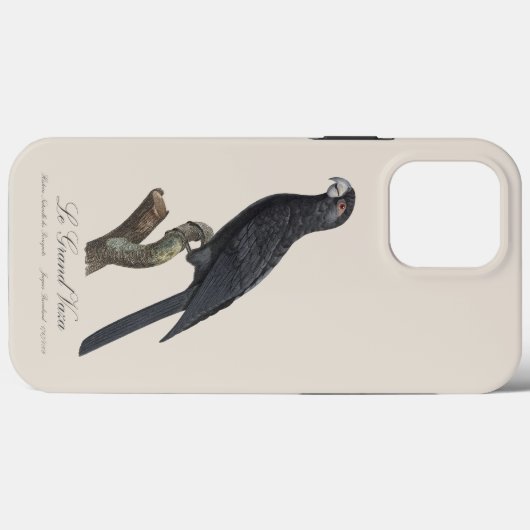 Le Grand Vaza / Grote Vasa Parrot Case-Mate iPhone Case (Achterkant (horizontaal))