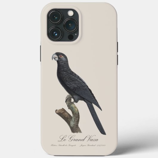 Le Grand Vaza / Grote Vasa Parrot Case-Mate iPhone Case (Achterkant)