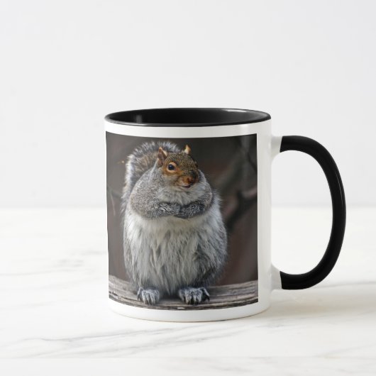 Le gros écureuil "a obtenu des écrous ?" Tasse (Droite)