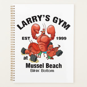 Le gym de Larry à Mussel Beach