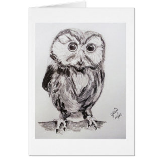 Le hibou dans le monde sont vous ?