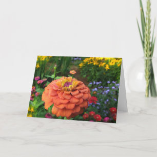Le jardin d'agrément colore la carte