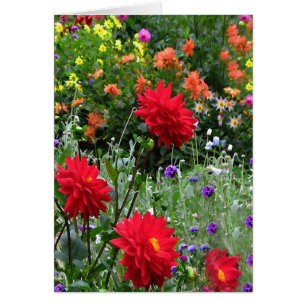 Le jardin de dahlia fleurit la carte de voeux
