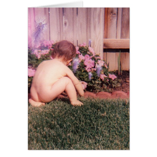 Le jardin de Scotty (Devant)