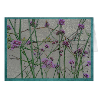 Le jardin d'été fleurit #1