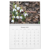 Le jardin fleurit le calendrier 2017 (Jan 2026)
