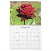 Le jardin se demande le calendrier 2013 (Feb 2026)