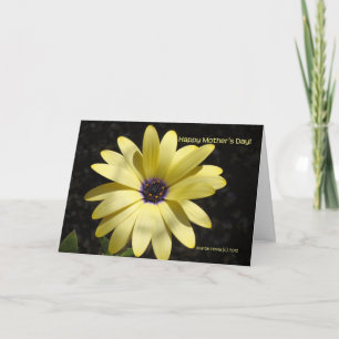 Le jour de mère - marguerite jaune (1) - carte -