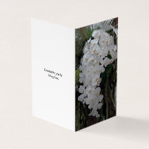 Le jour de votre mariage - Orchidées blanches