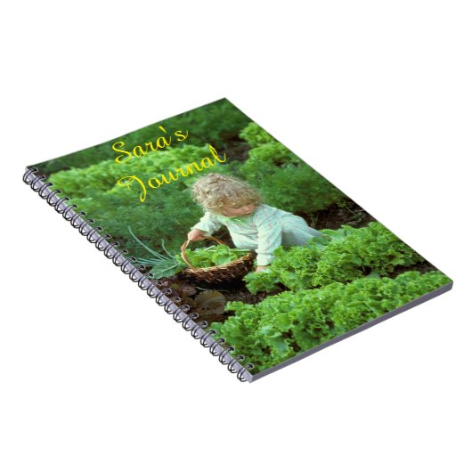 Le journal de Sara (Côté Droit)