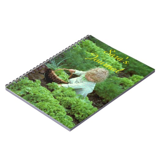 Le journal de Sara (Côté gauche)