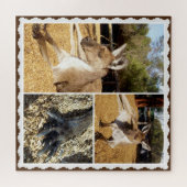 Le Kangaroo Picture Collage, Jigsaw Puzzle (Horizontal)