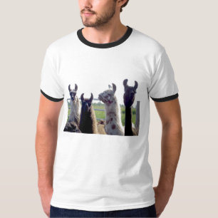 Le lama dirige le T-shirt