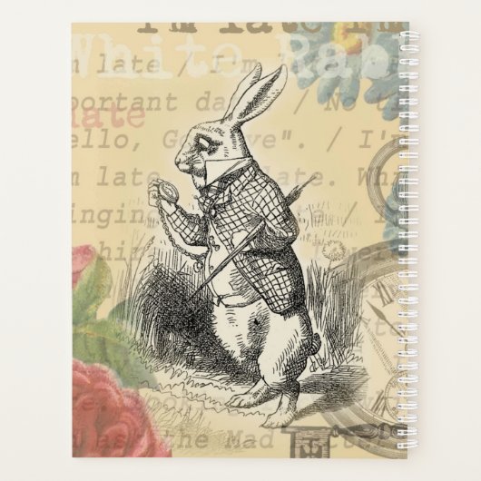 Le lapin blanc Alice au pays des merveilles (Dos)
