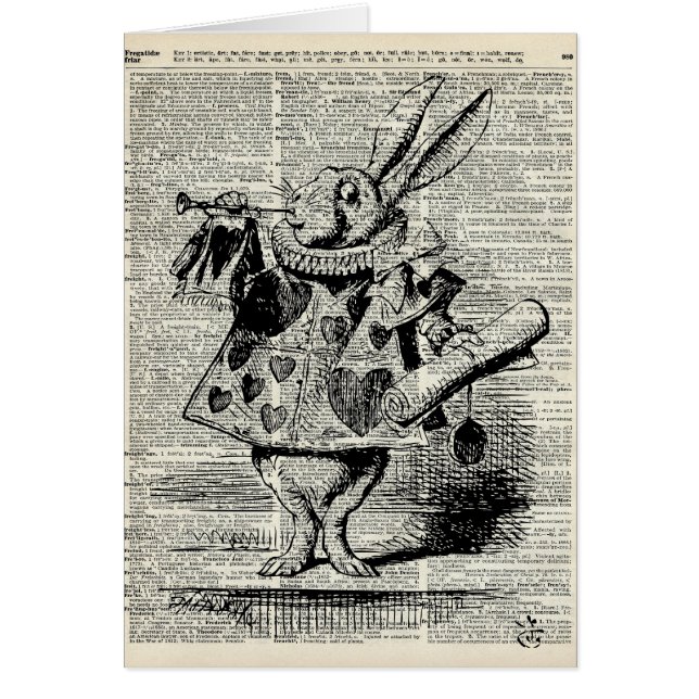 Le lapin de Whitte (Devant)