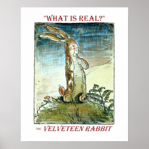 Le lapin Velveteen - Poster