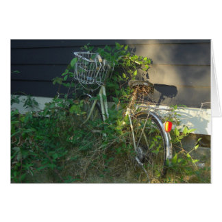 le lierre a couvert le vélo