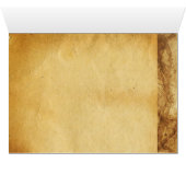 LE LION DU CAP MENANT, Orange, Noir (Intérieur Horizontal (Bas))