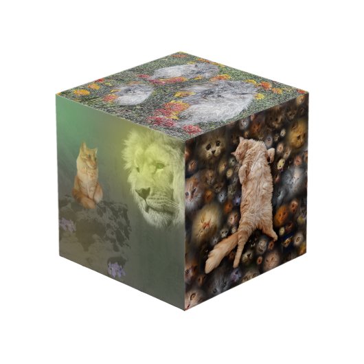 Le Lion Et Le Chat, Plus Amis, Cube Photo (Angle devant)