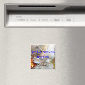 Le lion triomphe sur les Magnets (In Situ (Lave-vaisselle))