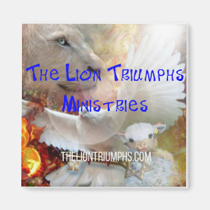 Le lion triomphe sur les Magnets