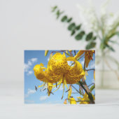 Le lis tigré jaune de cartes postales d'été (Debout devant)