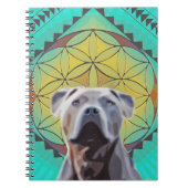 Le livre de Bhalu du bonheur (Devant)