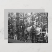 Le long de la carte postale bancaire (Devant / Derrière)