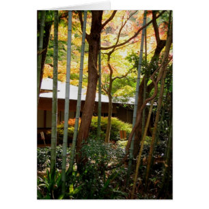 Le long du chemin du philosophe