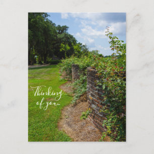Le long du mur incurvé carte postale Pensant à vou