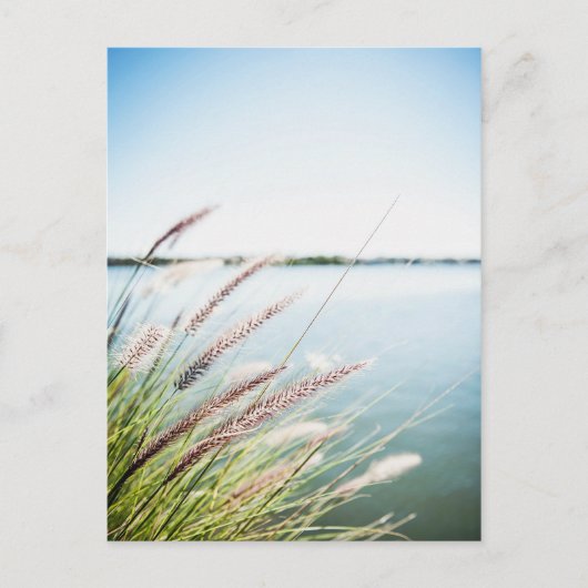 Le long du Saint-Laurent Briefkaart (Voorkant)