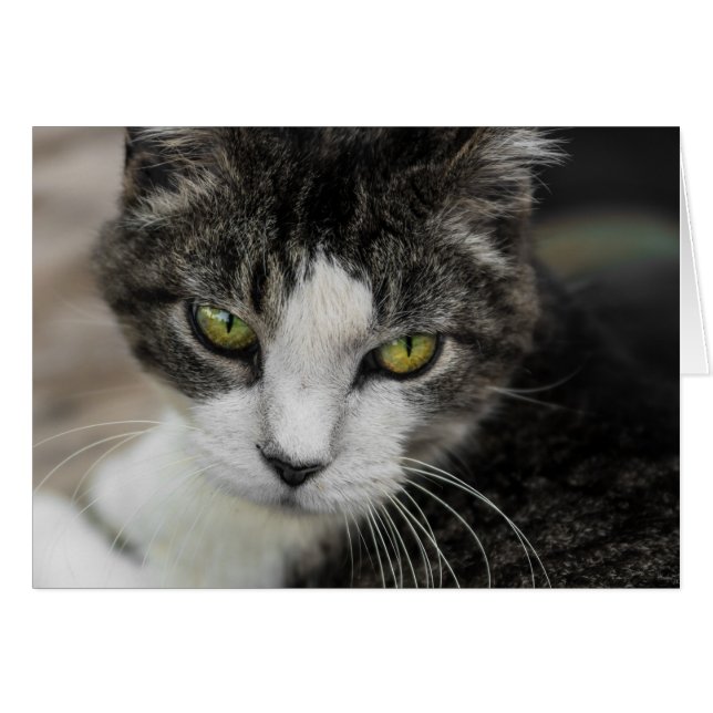 Le look bébé (Devant Horizontal)