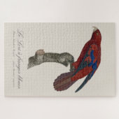 Le Lori a franges bleues Legpuzzel (Horizontaal)