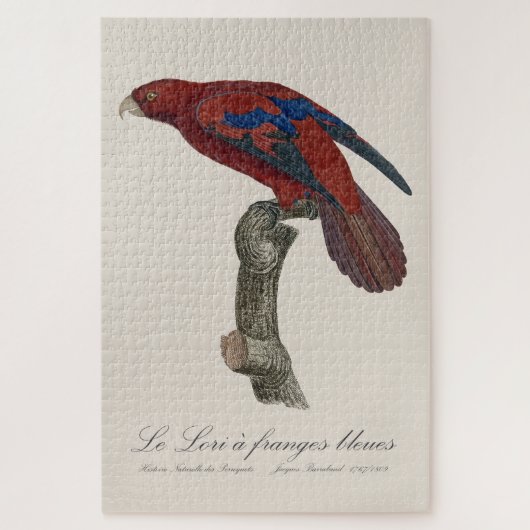 Le Lori a franges bleues Legpuzzel (Verticaal)