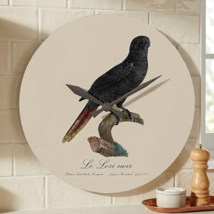 Le Lori noir / Zwarte lory Grote Klok
